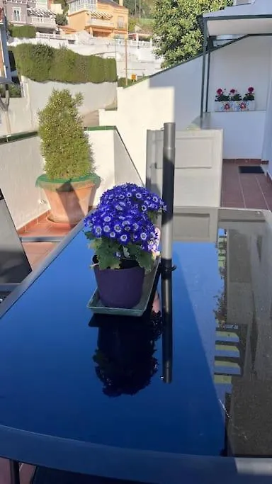 El Nido Del Ama Lejlighed Málaga Spanien
